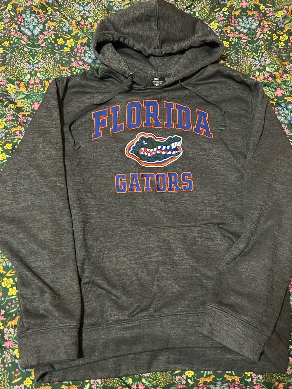 Colosseum Florida Gators Hoodie Men’s XL Dark Gray Sweatshirt NCAA Pullover